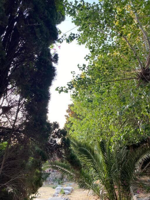 شقة Casa Di Sardi بلدة كوس المظهر الخارجي الصورة